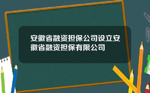 安徽省融资担保公司设立安徽省融资担保有限公司