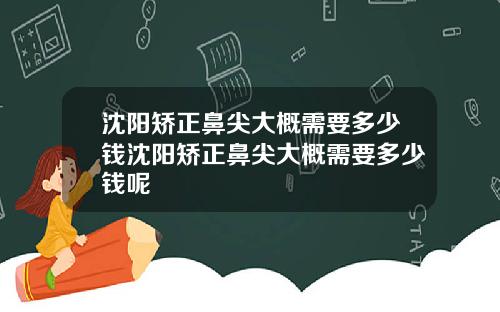 沈阳矫正鼻尖大概需要多少钱沈阳矫正鼻尖大概需要多少钱呢