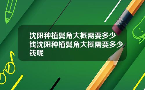 沈阳种植鬓角大概需要多少钱沈阳种植鬓角大概需要多少钱呢