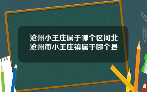 沧州小王庄属于哪个区河北沧州市小王庄镇属于哪个县