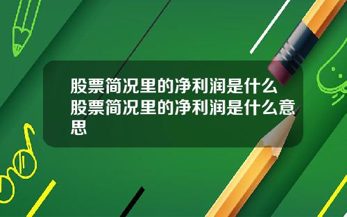 股票简况里的净利润是什么股票简况里的净利润是什么意思