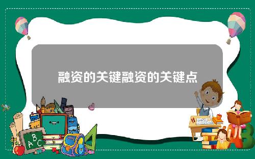 融资的关键融资的关键点