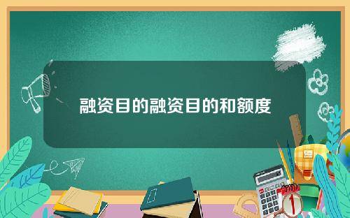 融资目的融资目的和额度