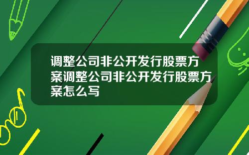 调整公司非公开发行股票方案调整公司非公开发行股票方案怎么写