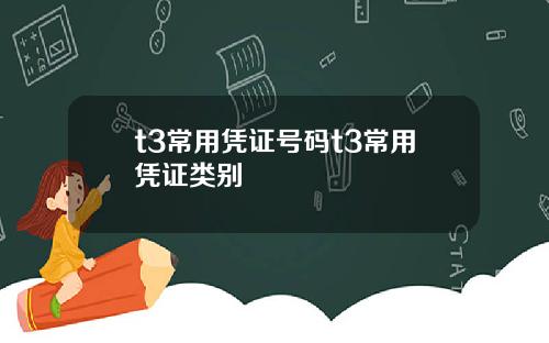 t3常用凭证号码t3常用凭证类别