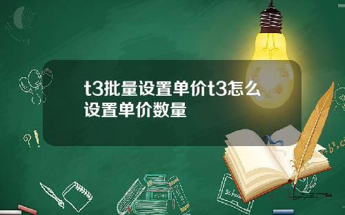 t3批量设置单价t3怎么设置单价数量