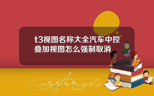 t3视图名称大全汽车中控叠加视图怎么强制取消