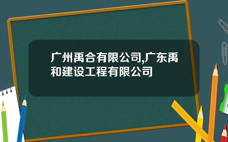 广州禹合有限公司,广东禹和建设工程有限公司