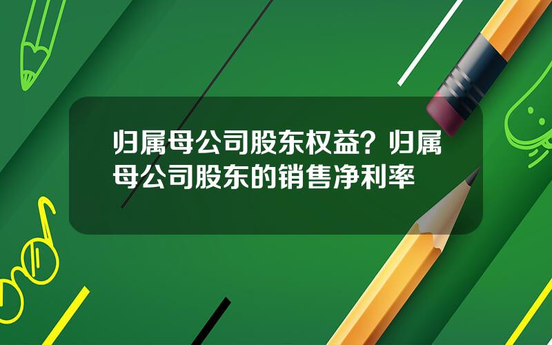 归属母公司股东权益？归属母公司股东的销售净利率