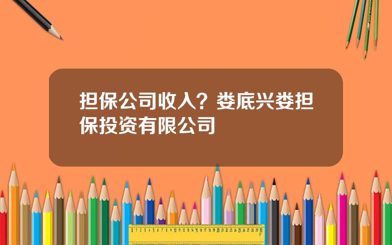 担保公司收入？娄底兴娄担保投资有限公司