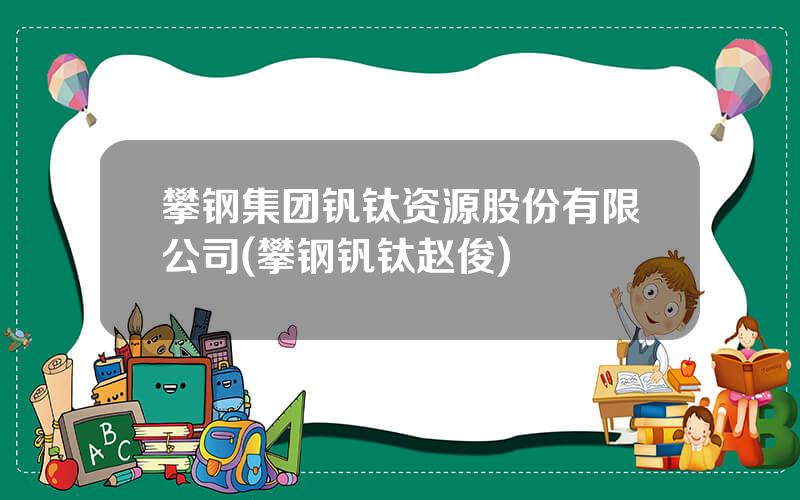 攀钢集团钒钛资源股份有限公司(攀钢钒钛赵俊)