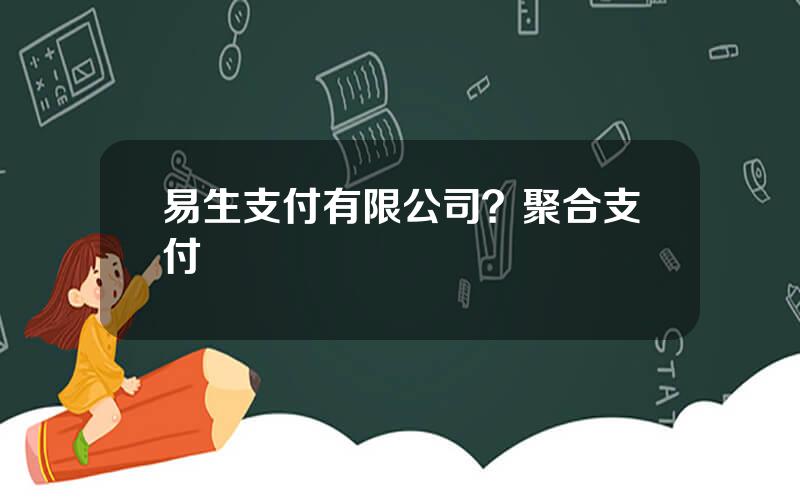 易生支付有限公司？聚合支付
