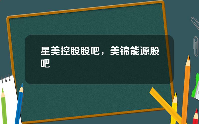 星美控股股吧，美锦能源股吧