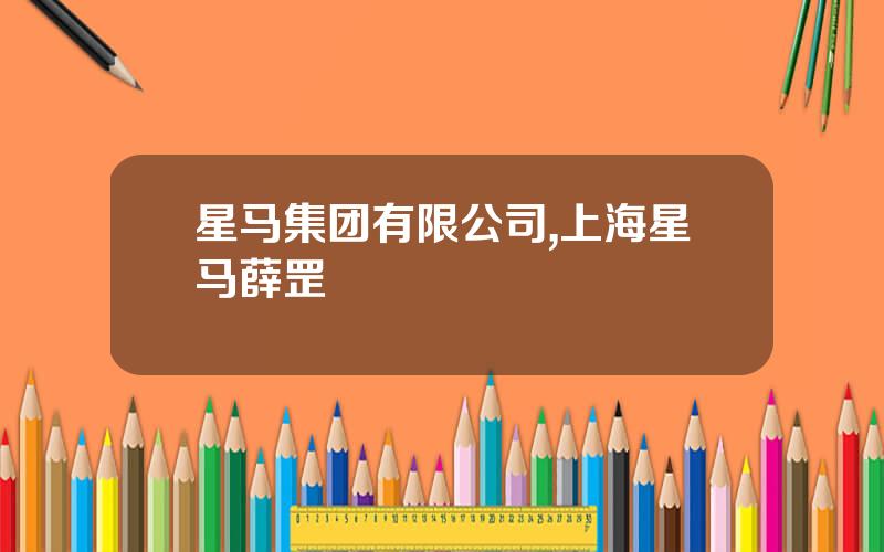 星马集团有限公司,上海星马薛罡