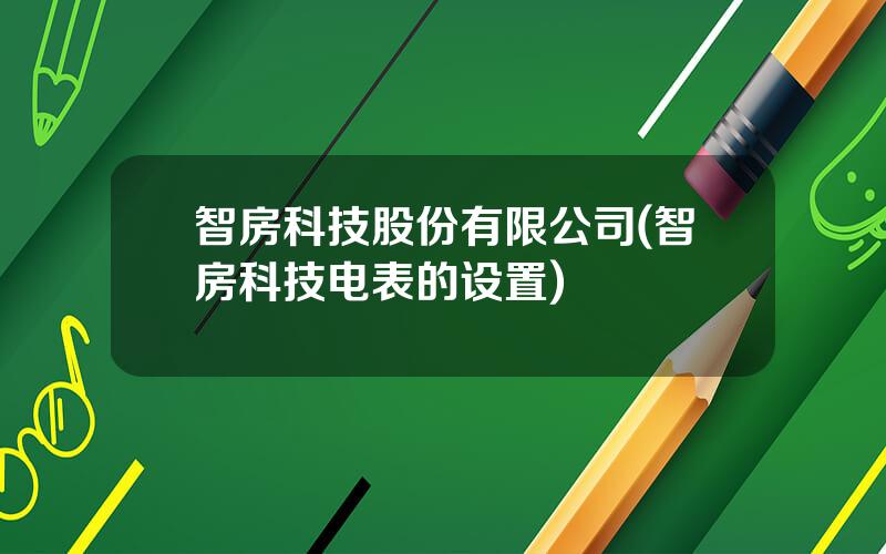 智房科技股份有限公司(智房科技电表的设置)