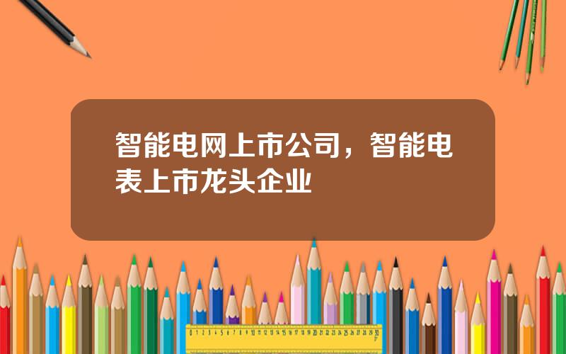 智能电网上市公司，智能电表上市龙头企业