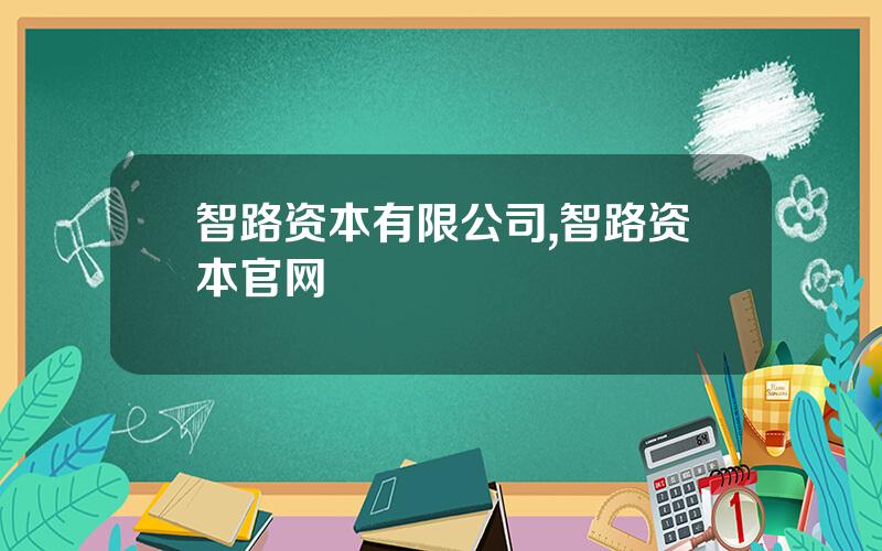 智路资本有限公司,智路资本官网