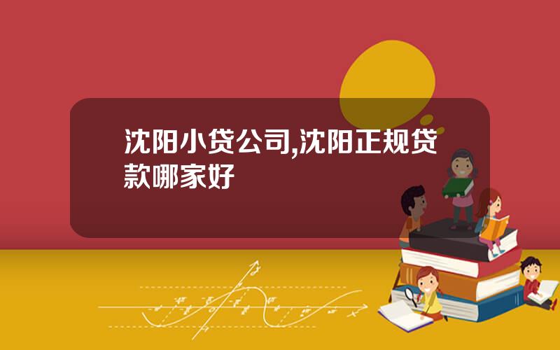 沈阳小贷公司,沈阳正规贷款哪家好
