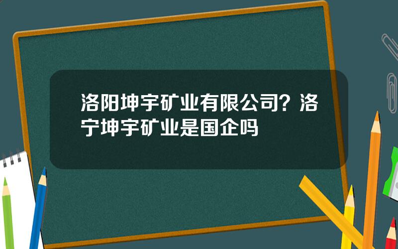 洛阳坤宇矿业有限公司？洛宁坤宇矿业是国企吗