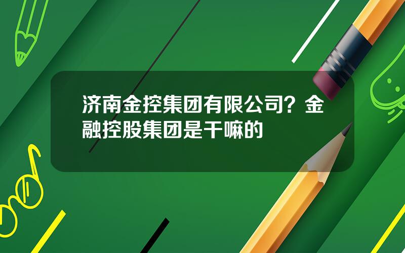 济南金控集团有限公司？金融控股集团是干嘛的