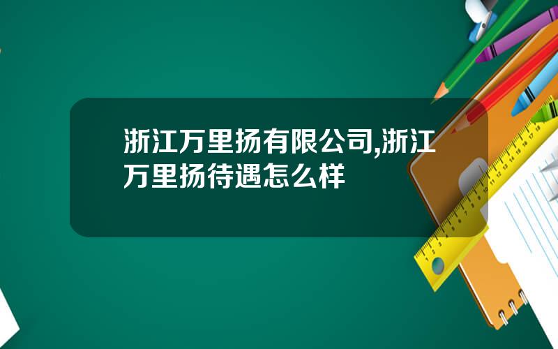 浙江万里扬有限公司,浙江万里扬待遇怎么样