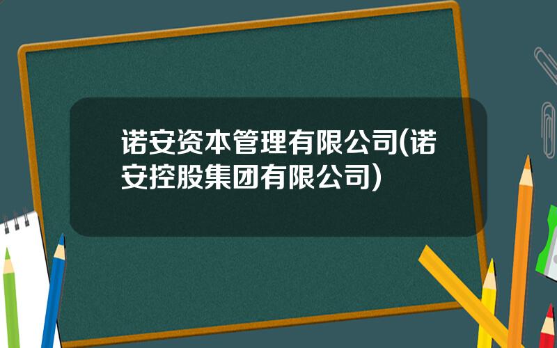 诺安资本管理有限公司(诺安控股集团有限公司)